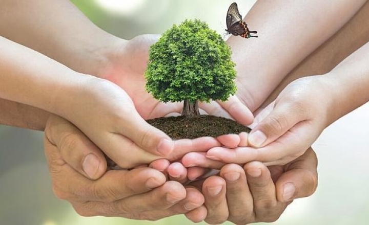 Çevreyi Korumaya Yönelik Dernek Ve Vakıflar