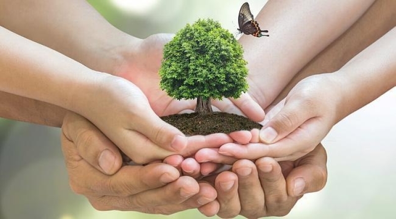 Çevreyi Korumaya Yönelik Dernek Ve Vakıflar