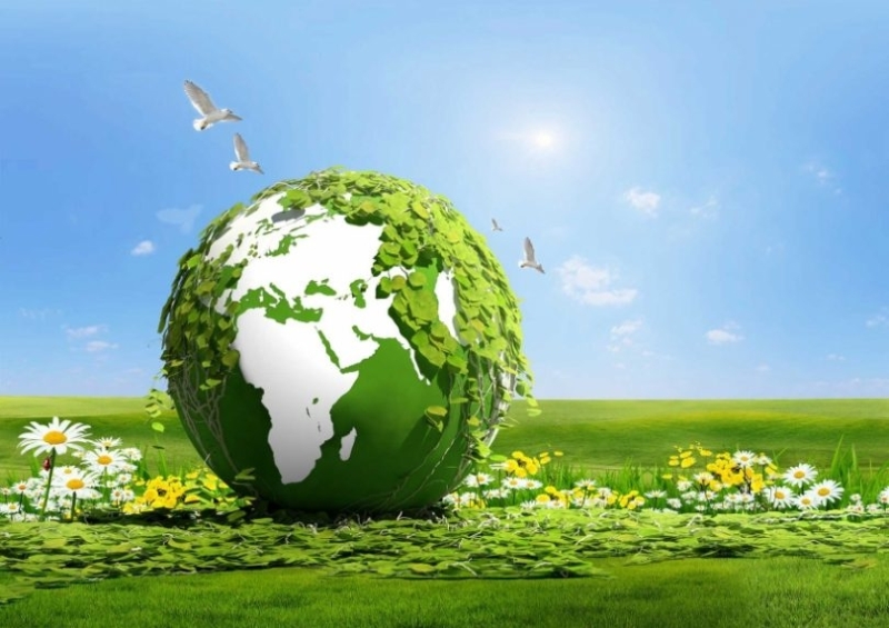 Sivil Toplum Kuruluşlarının Faaliyetleri